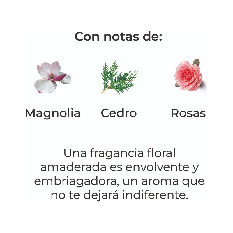 Sobre Perfumado Premium 15g Armario Cajones Autos | Magnolia
