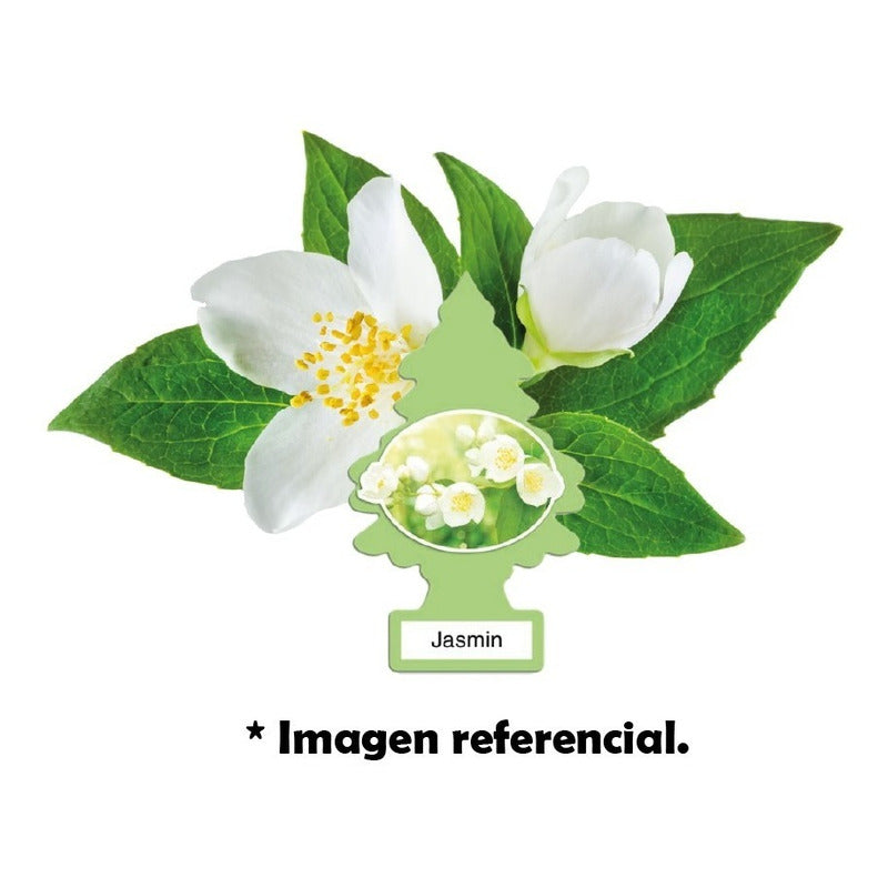 Little Tress | Aromatizante colgante