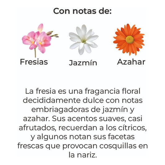 Sobre Perfumado Natural Extrac 20g Armario Autos | Freesia