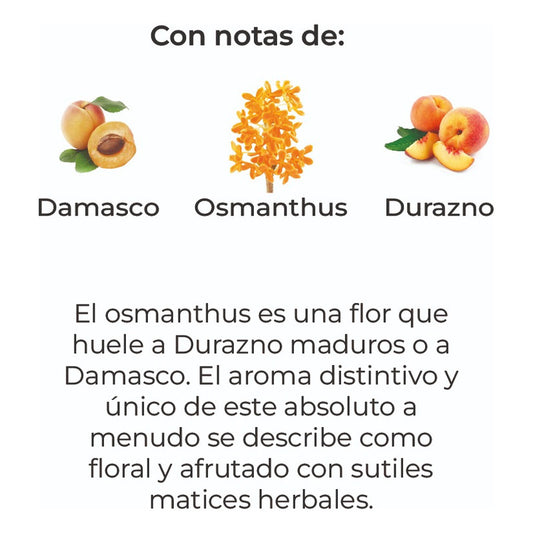 Sobre Perfumado Natural Extrac 20g Armario Autos | Osmanthus