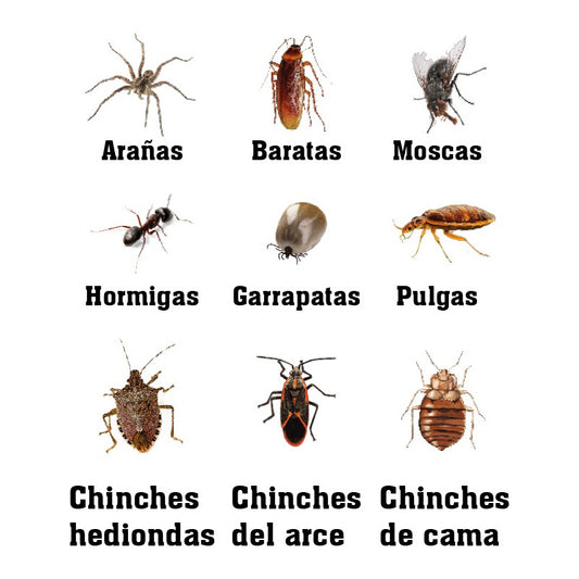 Eliminador De Garrapatas Pulgas - Polvo Mojable Para Diluir