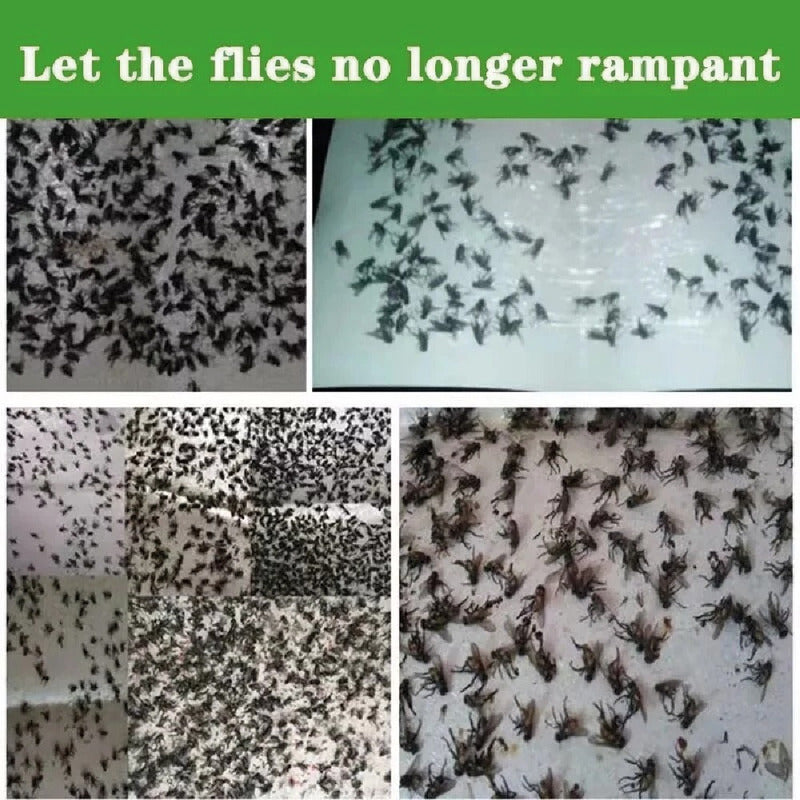 Trampa Para Moscas Y Mosquitos Papel Pegajoso No Tóxica 10u