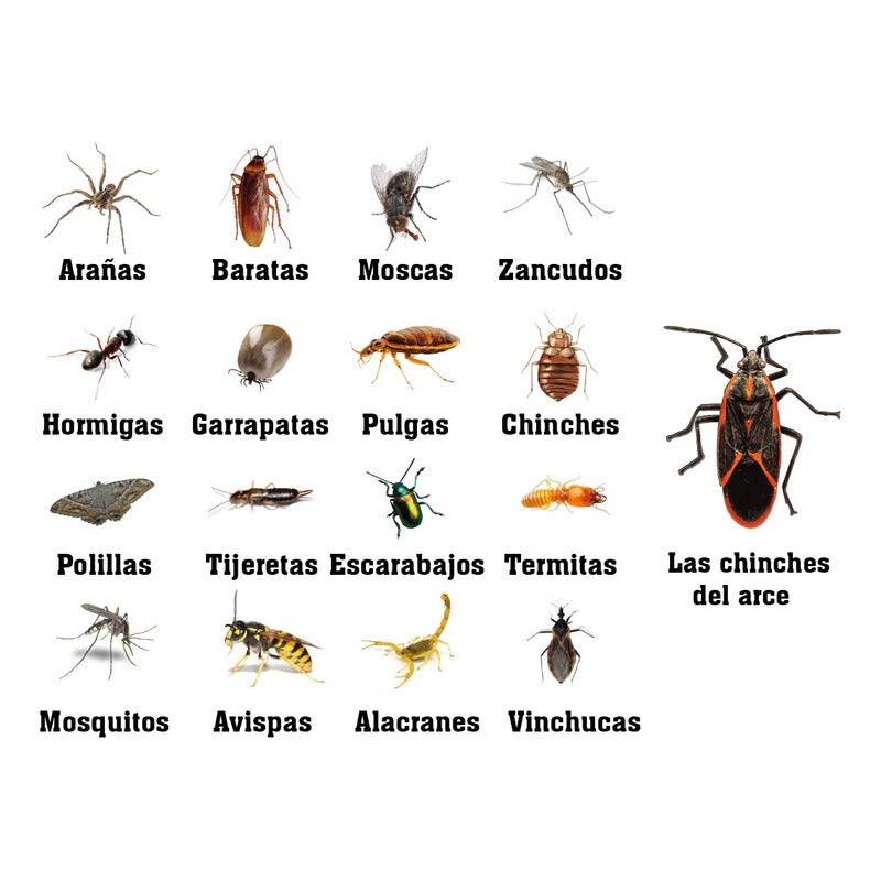 Cipermetrina Ec Repelente Multi Insectos Control Plagas /1 L