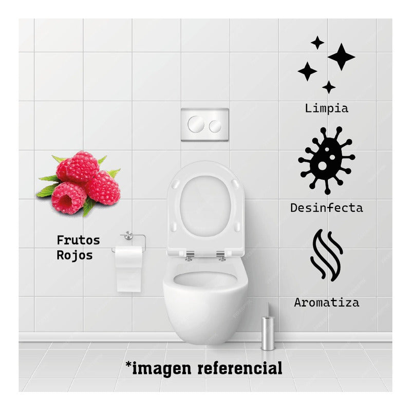 Aromatizador Wc Total Colgadores Frutos Del Bosque 45gx2