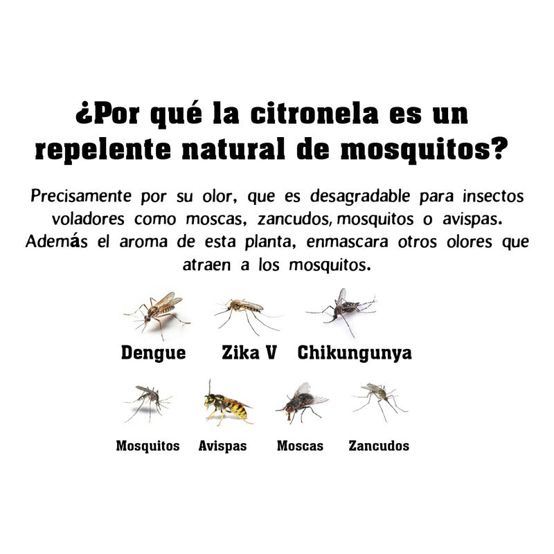 Amahogar - Gel Citronela