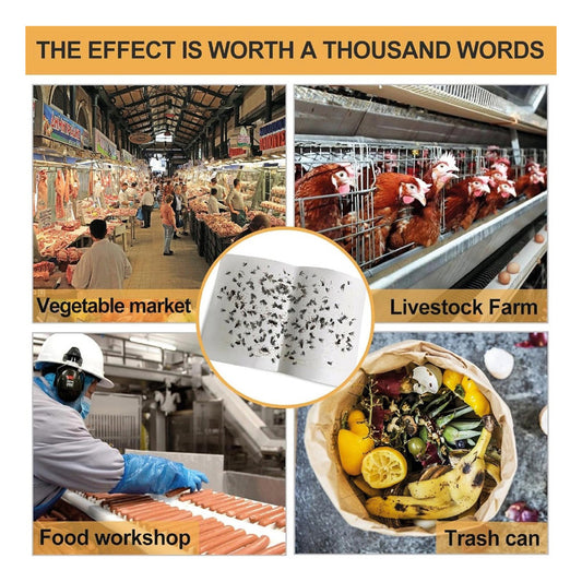 Trampa Para Moscas Y Mosquitos Papel Pegajoso No Tóxica 10u