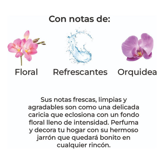 Sobre Perfumado Lifie Season 20g Armario Cajones | Brisa Mar