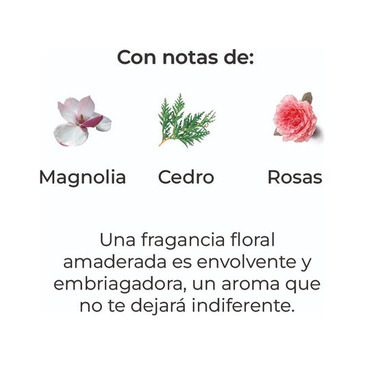 Sobre Perfumado Natural Extrac 20g Armario Autos | Magnolia