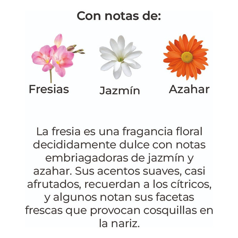 Sobre Perfumado Premium 15g Armario Cajones Autos | Fresia