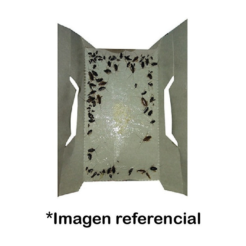 Insective - Trampas Para Polillas De Despensa 2 Unidades