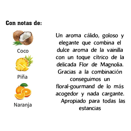 Ambientador de autos | 100 Ml