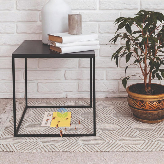 Trampa Cebo Adhesiva Con Atrayente Cucarachas Efectiva 12 U