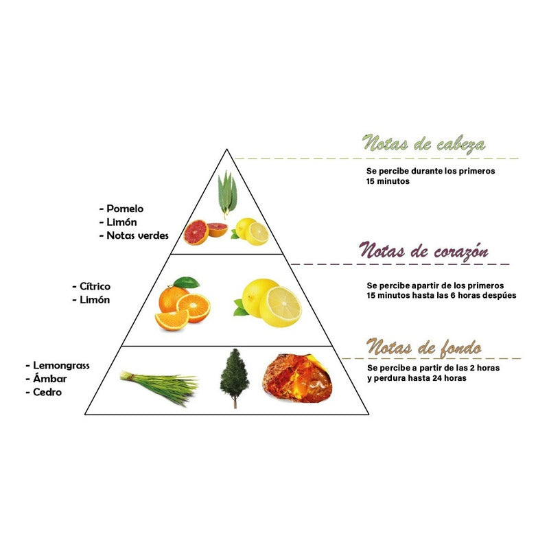 Lumar Aromatic - Taco Decorativa 2Un. | 24h/135gr