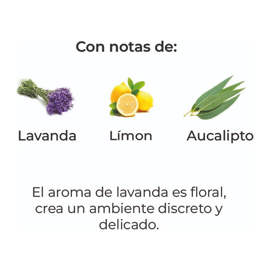 Sobre Perfumado Intenso 20g Armario Cajones Auto | Lavanda