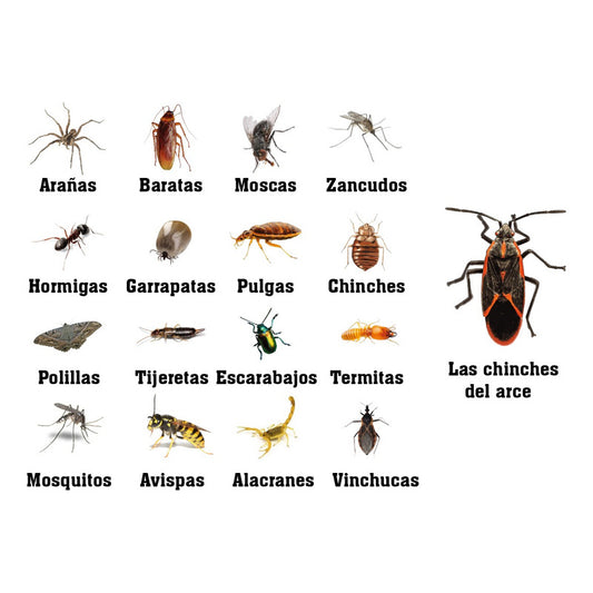 Klerat Cs Repelente Multi Insectos Control Plagas Dilu 30 Ml