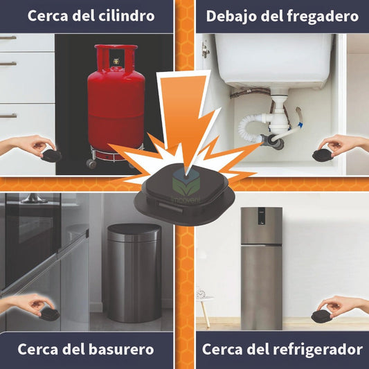 Trampa Cebo Cucarachas 6 Piezas - Efecto Rapido Y Seguro