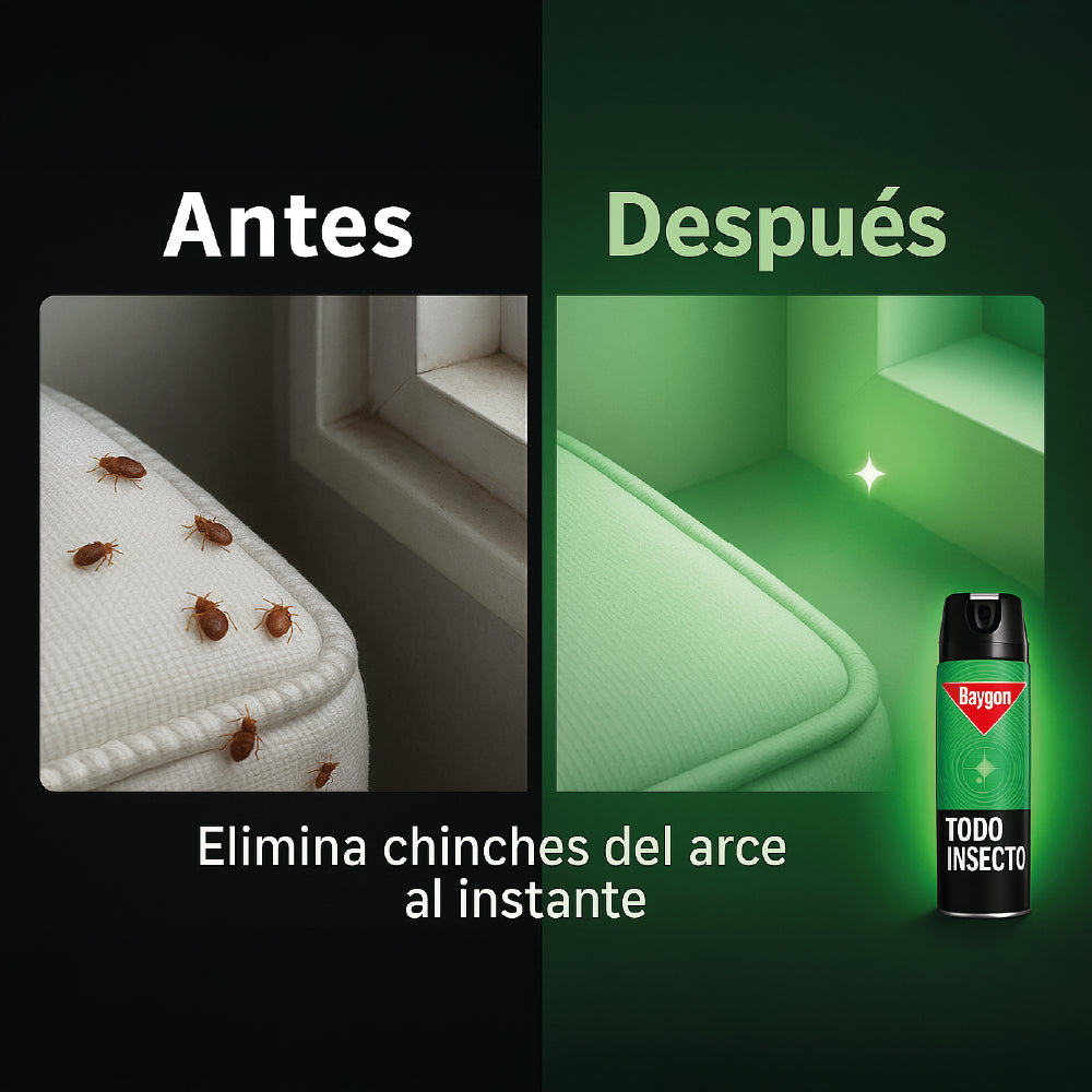 Baygon - Todo Insecto Chinches Arce/cama