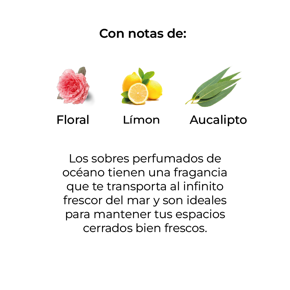 Sobre Perfumado Lifie Season 20g Armario Cajones  |  Oceano