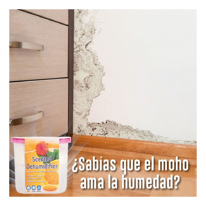 Damprid - Absorbedor De Humedad Desechable [2 Unidades] Seco