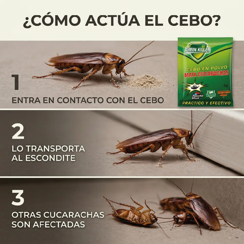 Cebo En Polvo Para Cucarachas - Pack 10 Uni De 5g Efectivo