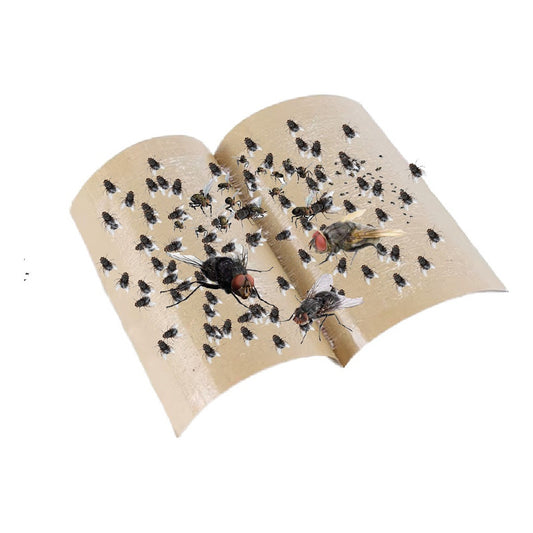Trampa Para Moscas Y Mosquitos  Papel Pegajoso No Tóxica 10u