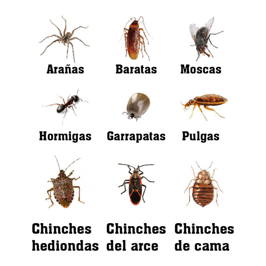 Repelente Eliminador  De Pulgas Y Garrapatas Inter/exte 1 L