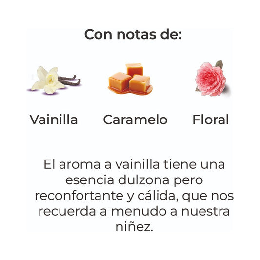 Sobre Perfumado Intenso 20g Armario Cajones Auto  | Vainilla