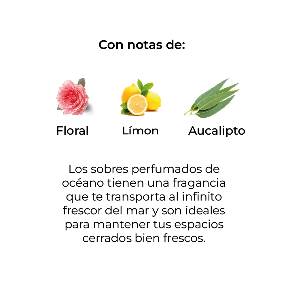 Sobre Perfumado Fragrance 20g Armario Cajones  | Oceano