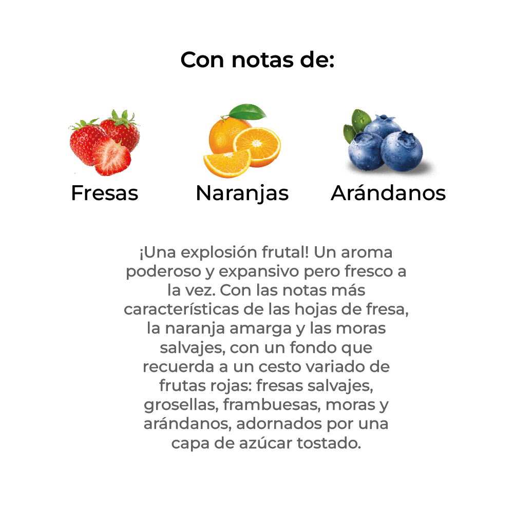 Sobre Perfumado Fragrance 20g Armario Cajones  | Arandanos