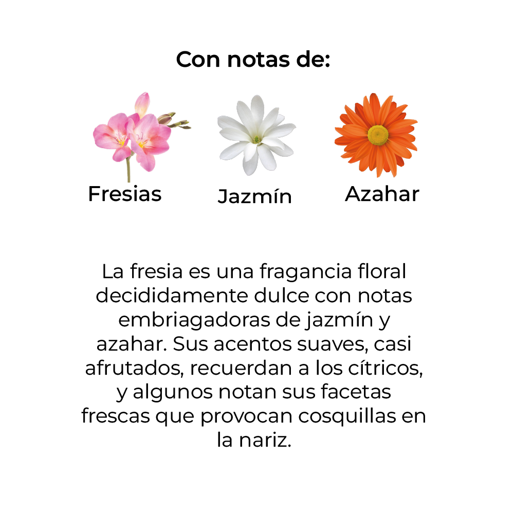 Sobre Perfumado Premium 15g Armario Cajones Autos | Fresia